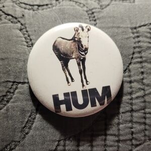 HUM youd prefer an astronaut pin